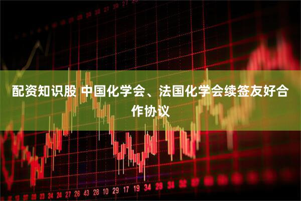 配资知识股 中国化学会、法国化学会续签友好合作协议