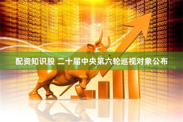配资知识股 二十届中央第六轮巡视对象公布