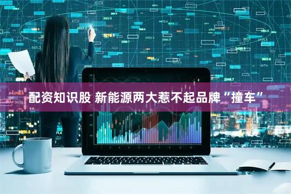 配资知识股 新能源两大惹不起品牌“撞车”